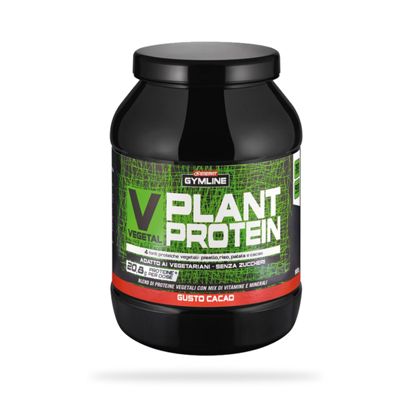 VEGETAL PLANT PROTEIN - Cacao