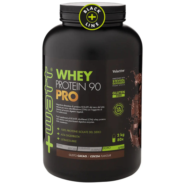 WHEY PROTEIN 90 PRO